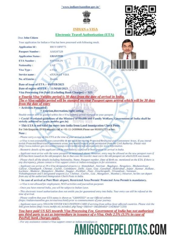 realista Visto E da Índia em modelo Word e PDF